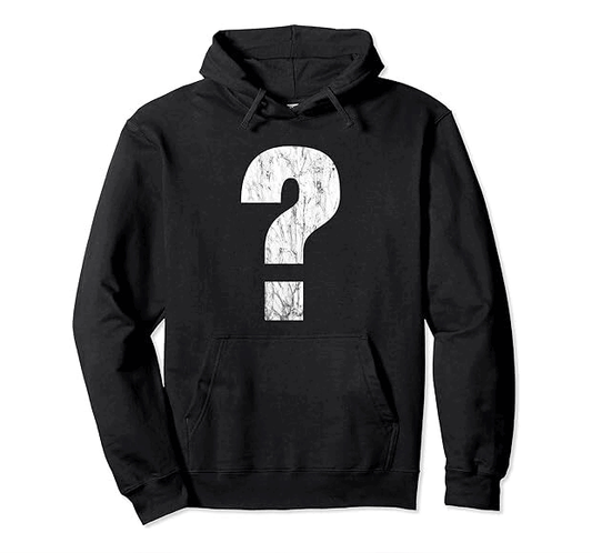 Surprise Me Hoodie