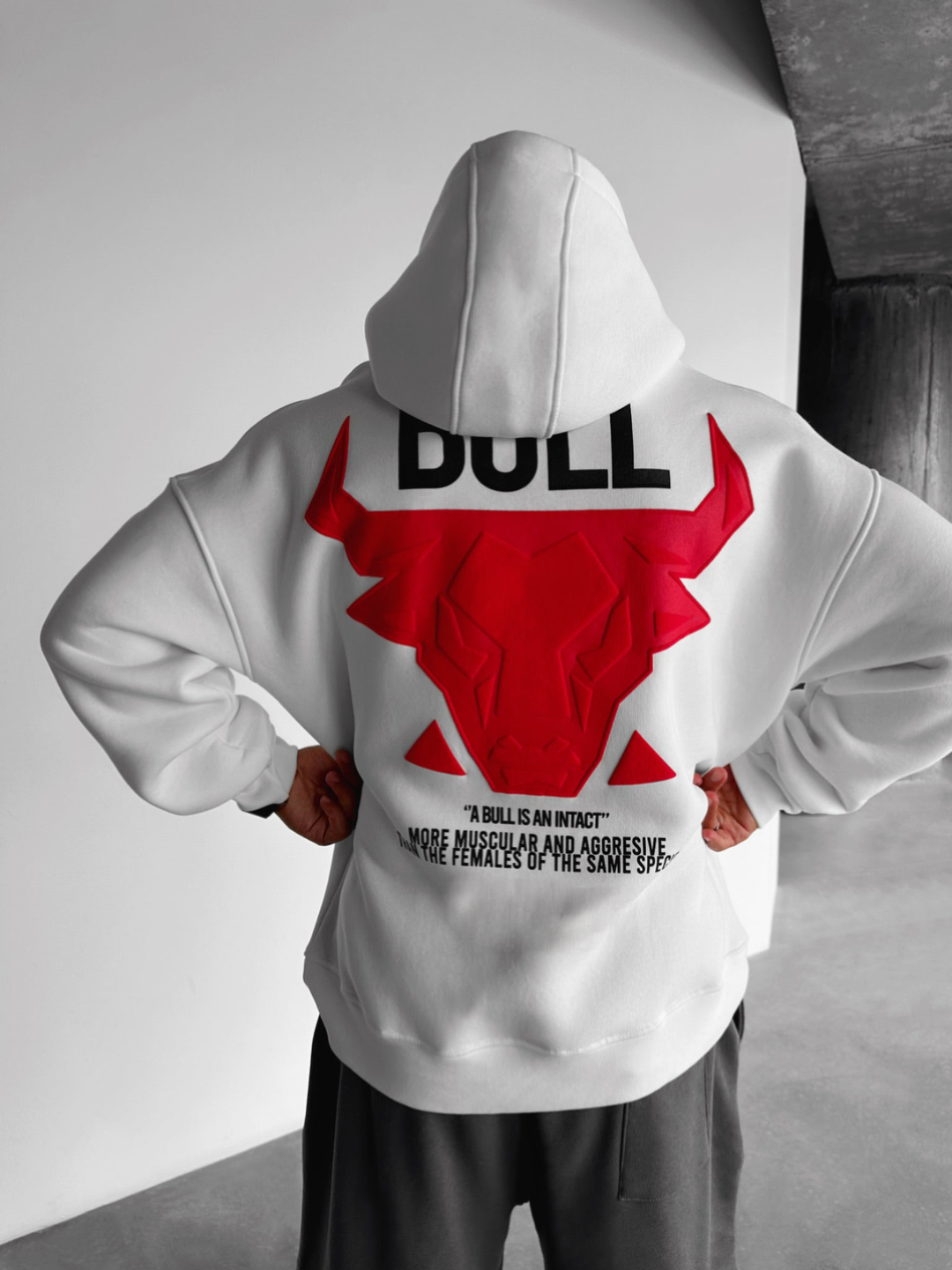 Bull it hoodie online